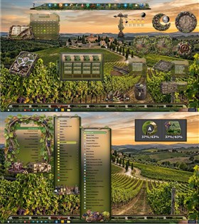 Vineyard