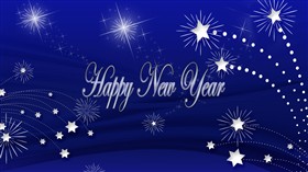 Happy New Year 2011 LV