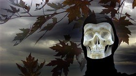 Halloween Fright