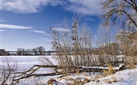 Colorado Snowfield