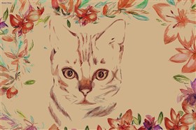 Peaking through Flowers