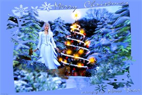 Merry Xmas