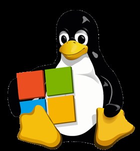 Tux holding windows
