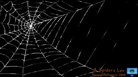 A Spider's Lair