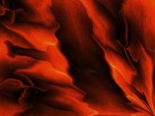 Hot Folds