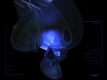 the core