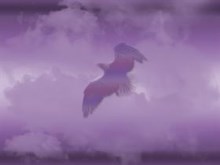 FreedomFlight