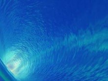 Vortex