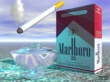 Smoker`s Heaven