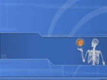 Skeleton Mesh