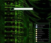 Digital City