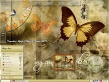 My Butterflies