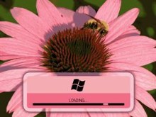 Vista Pink BootSkin