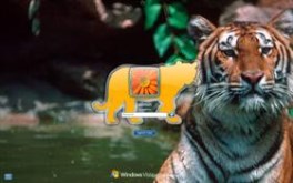 Tiger's Pride LogonVista