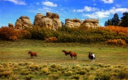 HIgh Pasture