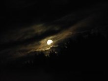 Moonlight Mystery