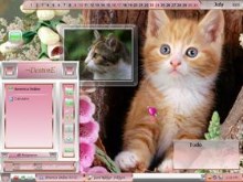 Cats in the Pink
