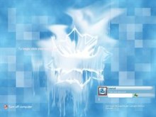 Ice Flower