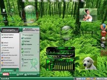 Jungle