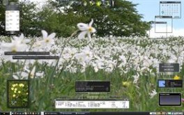 Longhorn Vista Spring