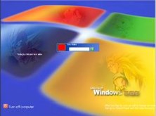 DBZ-Windows Logon