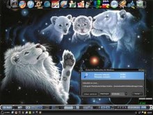 White Cat