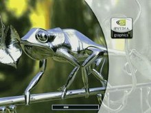NVIDIA Chameleon
