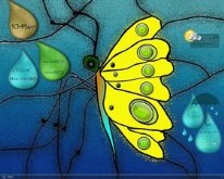 Butterfly in Glass