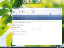 vista fever