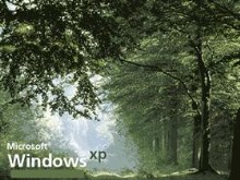 Sleepy Hollow - Windows XP