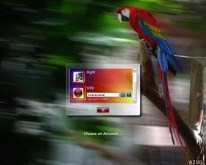 Polly