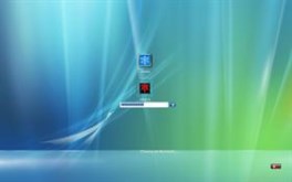 Vista Reaction ( Wide Screen)
