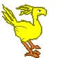Chocobo