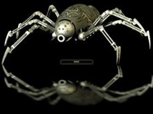 Spider