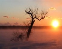 Cold Sunrise