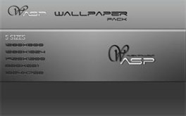 wasp wall pack