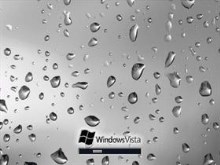 Vista Wet LCD Screen Black & White Edition!