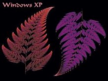 Fractal 41
