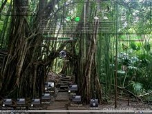 Trail to Peace and Happiness