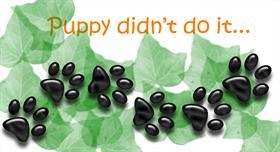 Puppy didn't do it