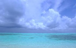 Aqua