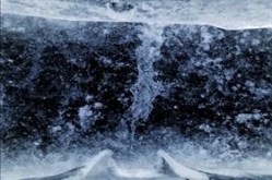 frozen dna logon