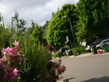 By the Road