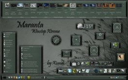 Maranta Xtreme