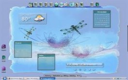 Dragonfly7
