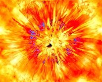 Digital Flower 
