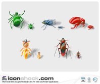 Insects