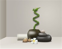 Mindful Meditation Still Life
