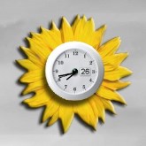 Sunflower Clock