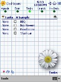 Daisy